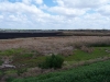 Facing Northeast