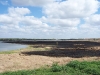 Brush Fire Near Water