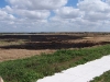 Burned Area