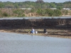 Fishing Near the Brush Fire Area