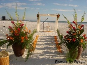 116_watermark_320x240_bamboo-canopy-tropical Sarasota Beach Wedding